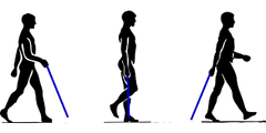 Selecting the Right Walking Stick Length